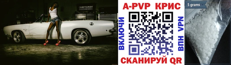 APVP СК  Старая Русса 