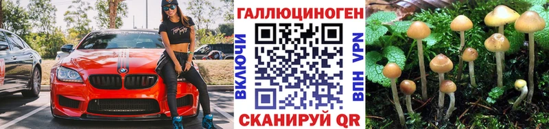 Галлюциногенные грибы ЛСД  hydra   Старая Русса 